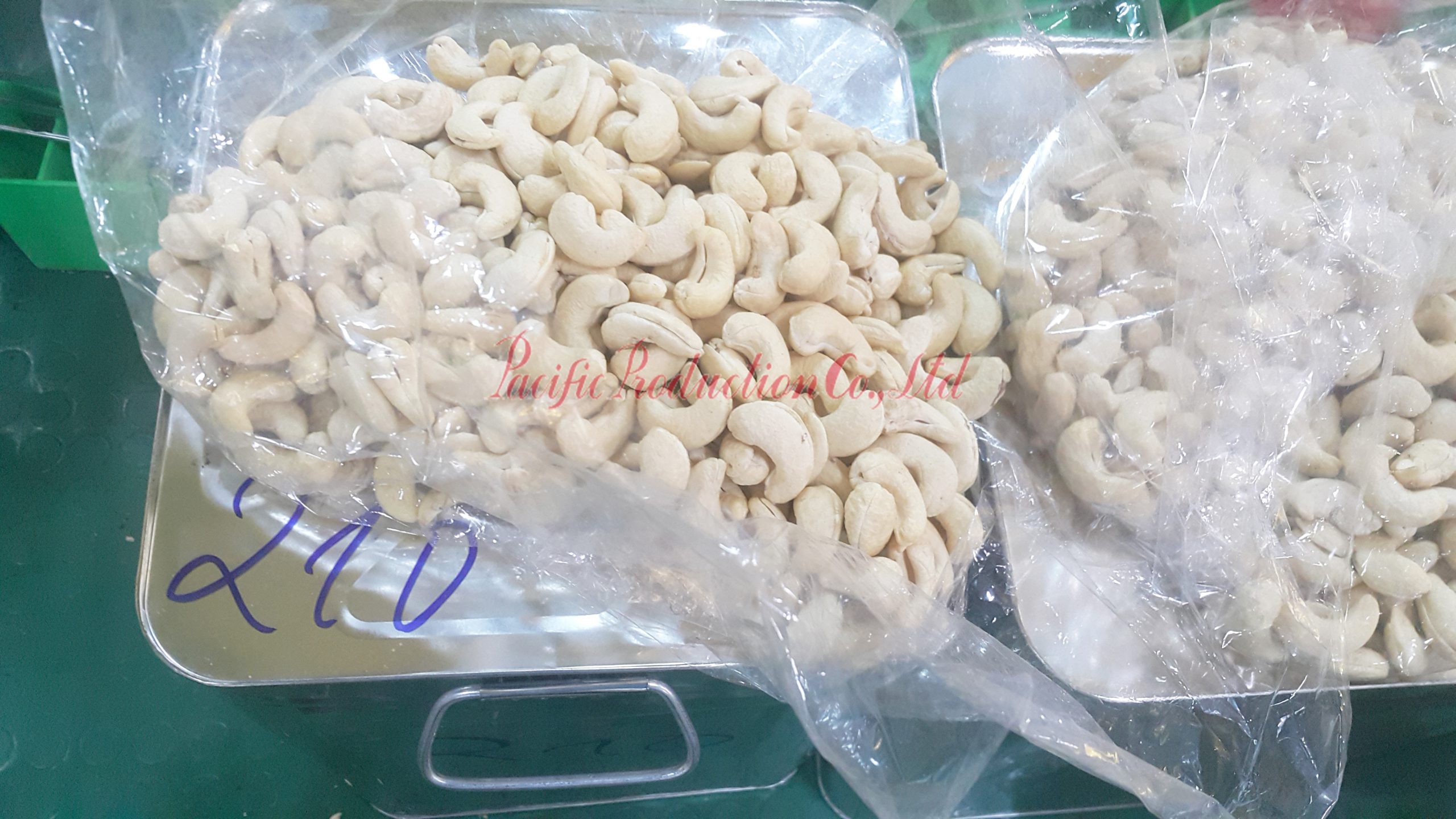 Cashew nuts WW320 processing in Pacific Production Co., Ltd