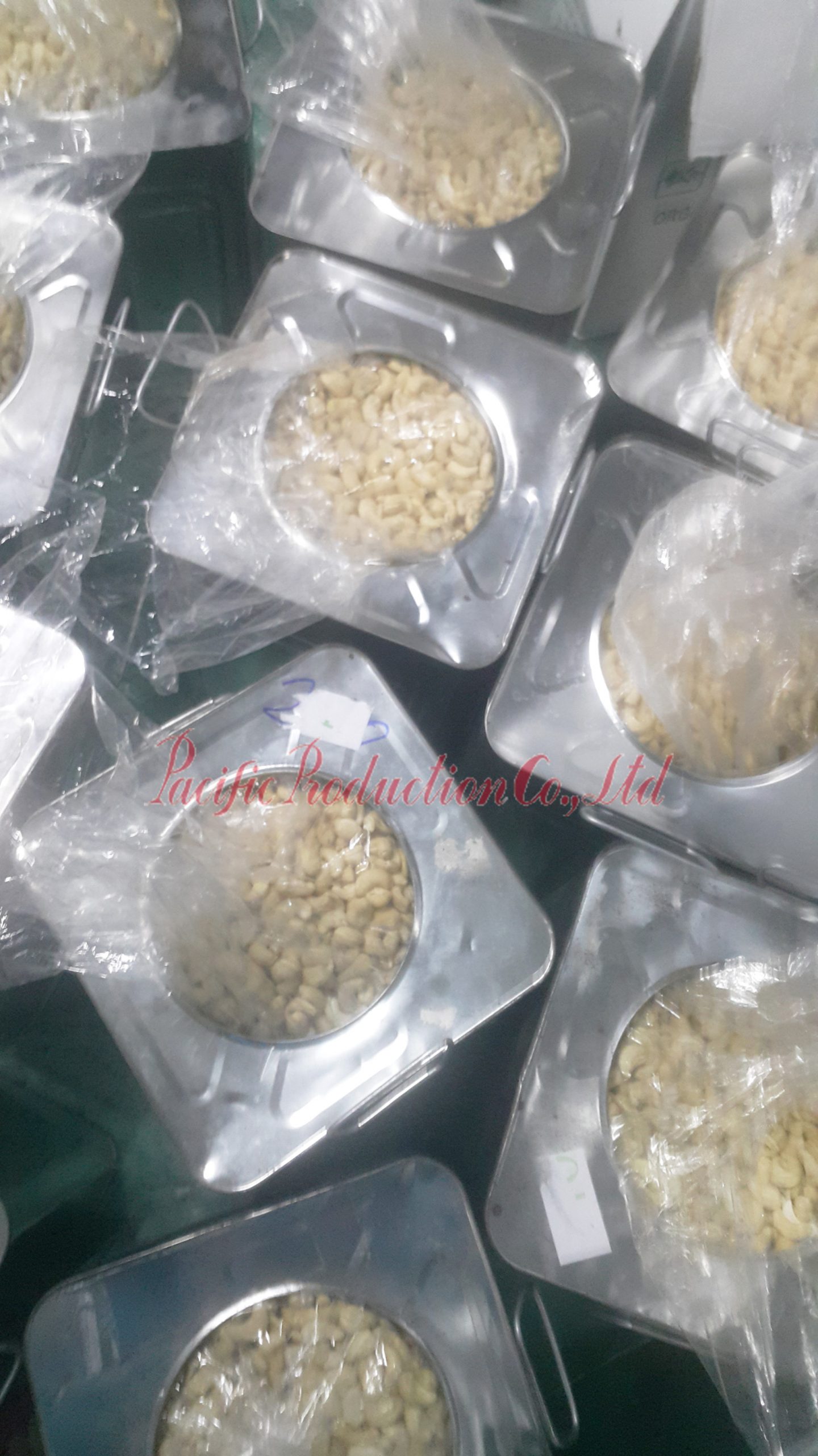 Cashew nuts WW320 processing in Pacific Production Co., Ltd
