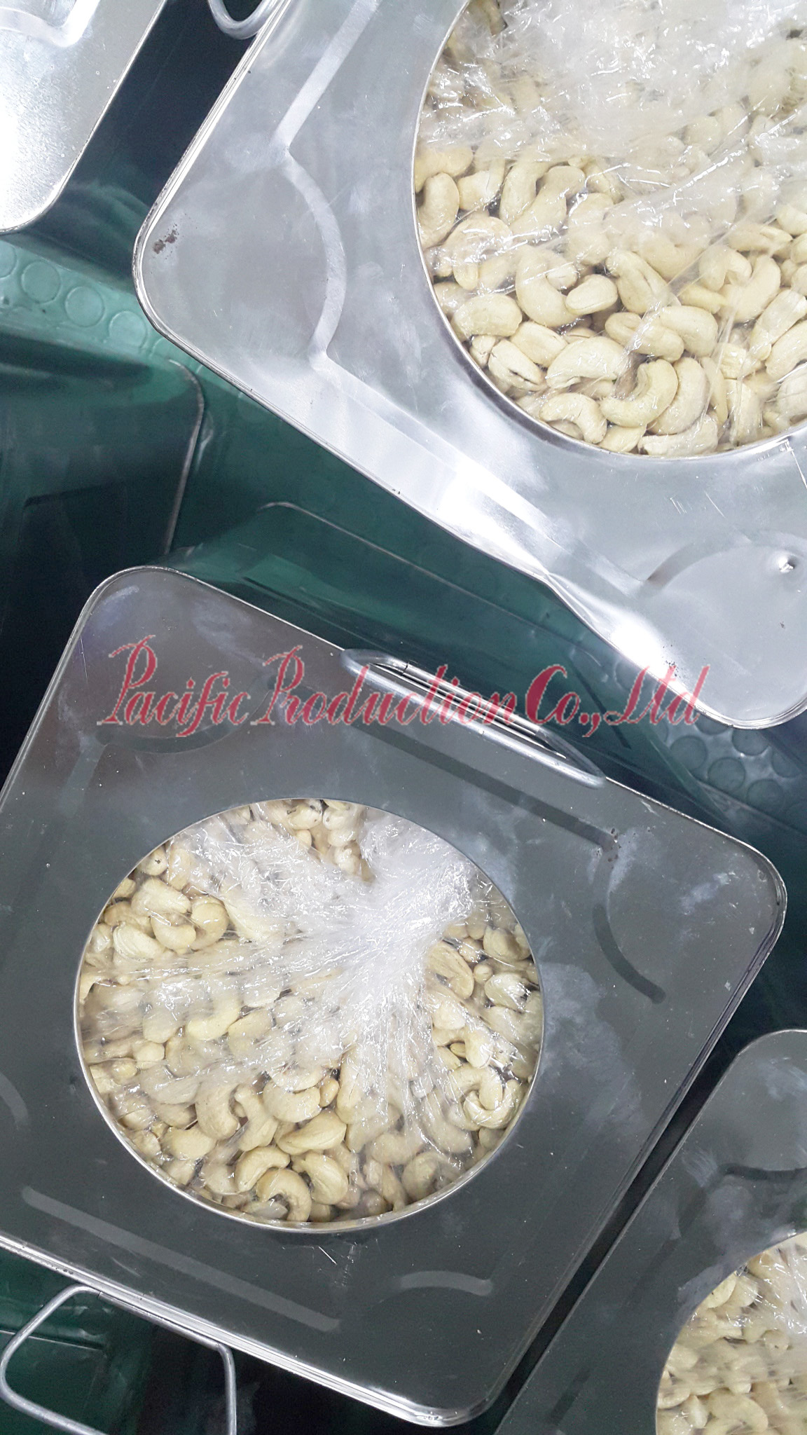 Cashew nuts WW320 processing in Pacific Production Co., Ltd
