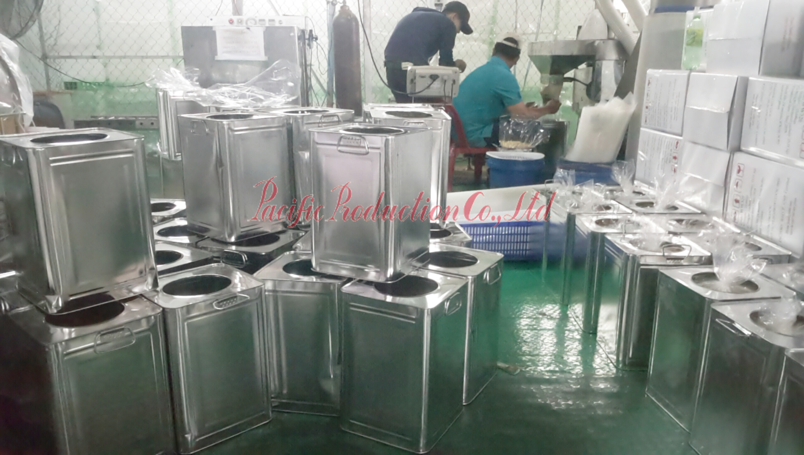 Cashew nuts WW320 processing in Pacific Production Co., Ltd