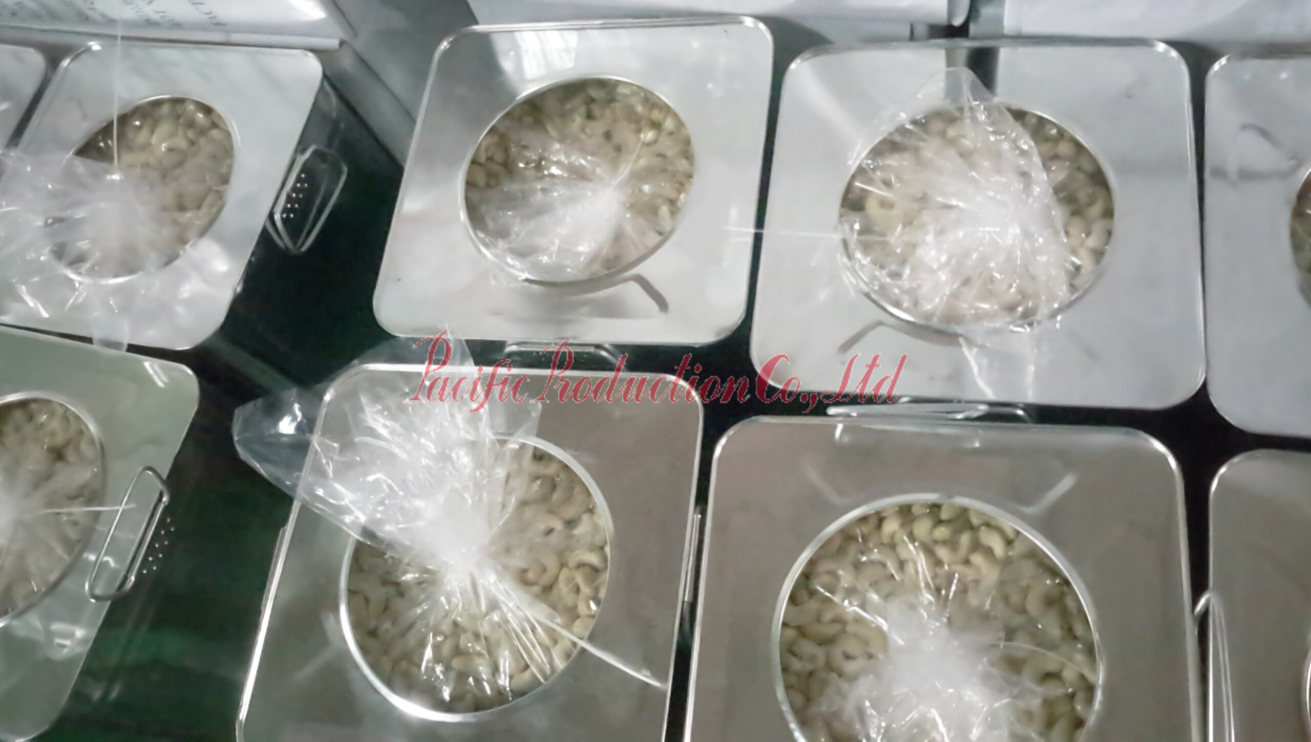 Cashew nuts WW320 processing in Pacific Production Co., Ltd