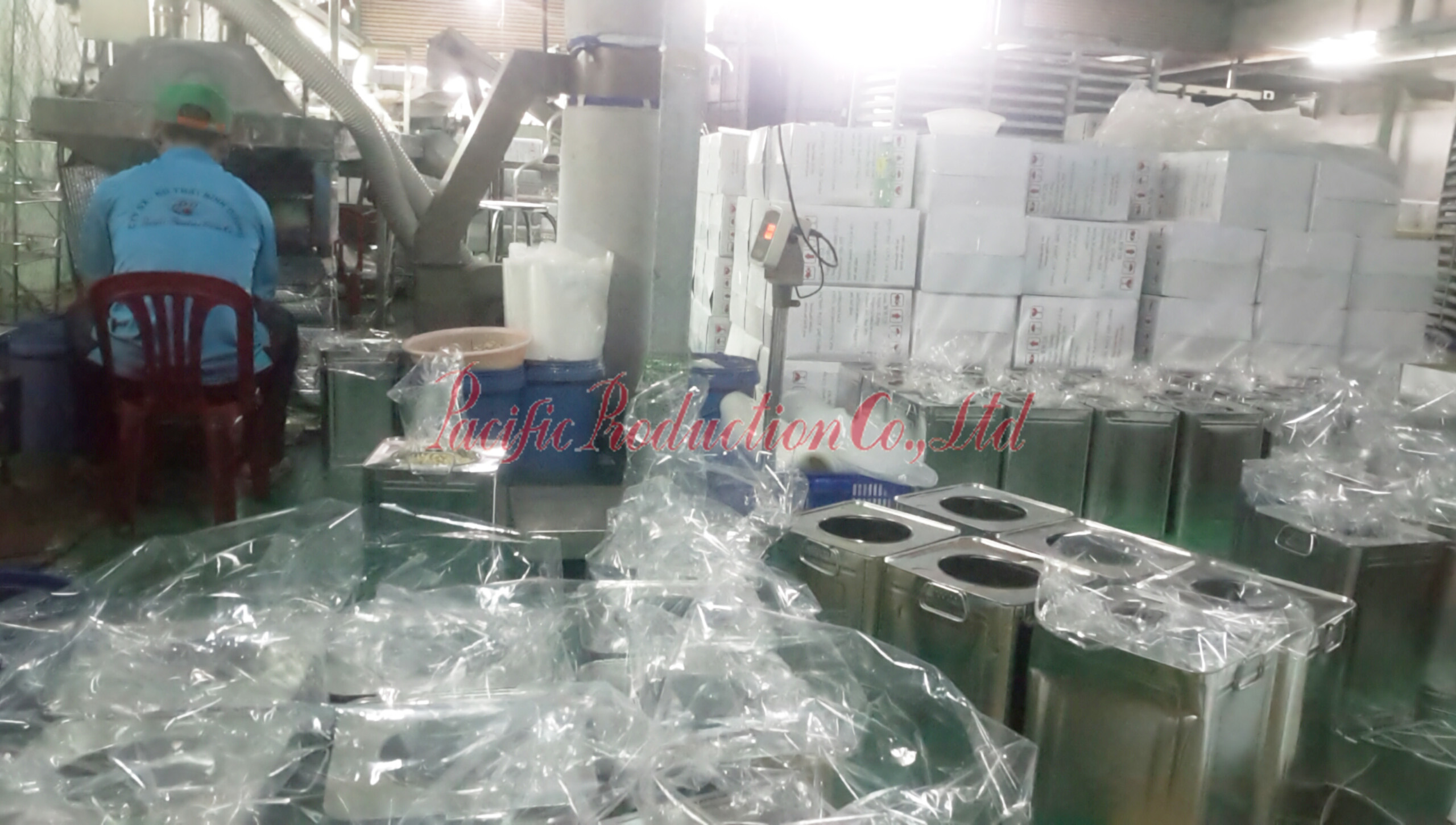 Cashew nuts WW320 processing in Pacific Production Co., Ltd